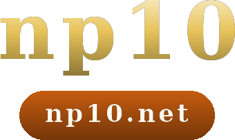 np10 logo